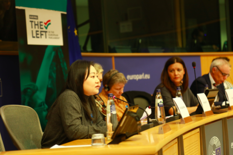 Speech by Dian Blandina at European Parliament at Brussels