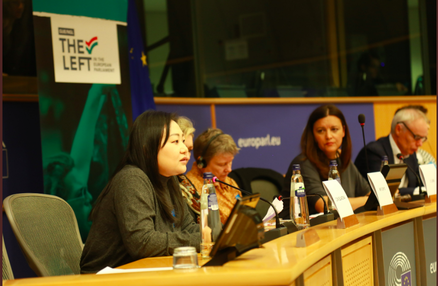 Speech by Dian Blandina at European Parliament at Brussels